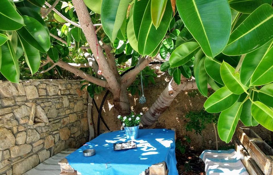 Sun Day Villa Achlia Exterior photo